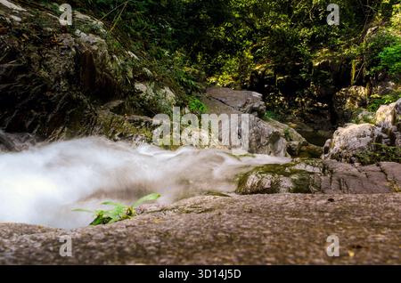 Turbulenter kleiner Fluss im Dschungel. Kleiner malerischer Fluss umgeben von dichtem tropischen Dschungel. Stockfoto