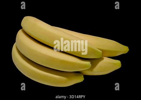 Gestapelte Bananen auf schwarzem Hintergrund minimalistisches Stillleben Stockfoto