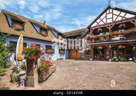 Schöne kleine Stadt Bergheim mit Fachwerkhäusern im Elsass. Frankreich Stockfoto