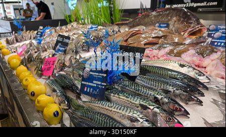 Soulac sur Mer, Medoc, Aquitaine, Frankreich - 14. Juni 2025. Frischer Fisch auf dem Eis auf der Theke, vom typischen französischen Markt. Stockfoto