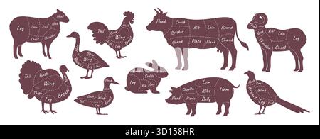 Fleisch geschnitten. Silhouette des Metzgertieres, Kuhteil-Leitbild. Nutzvieh, Kaninchen, Vogel und Lamm für die Metzgerei. Nahrungsmittelprogramm. Grafische Silhouette der Tafel isolierte Elemente. Vektorabbildung Stock Vektor