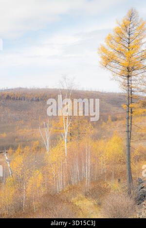 Ein traumhaftes Ambiente der herbstlichen Landschaft im Freien, die einen hoffnungsvollen und fröhlichen Berg und Wald der Mutter Natur einfängt. Stockfoto