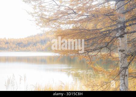 Ein traumhaftes Ambiente der herbstlichen Landschaft im Freien, die einen hoffnungsvollen und fröhlichen Berg und Wald der Mutter Natur einfängt. Stockfoto
