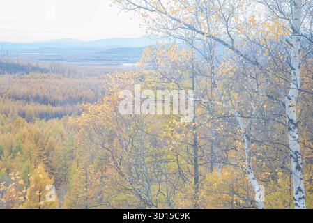 Ein traumhaftes Ambiente der herbstlichen Landschaft im Freien, die einen hoffnungsvollen und fröhlichen Berg und Wald der Mutter Natur einfängt. Stockfoto