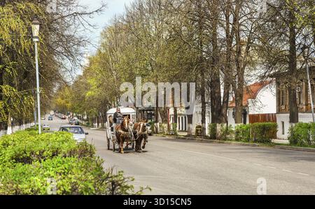 Suzdal, Russland - 2. Mai 2014: Kutschenfahrten auf der Straße von Suzdal Stockfoto