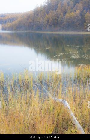 Ein traumhaftes Ambiente der herbstlichen Landschaft im Freien, die einen hoffnungsvollen und fröhlichen Berg und Wald der Mutter Natur einfängt. Stockfoto