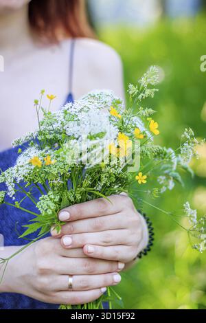 Ein Blumenstrauß in Frauenhänden. Blumenstrauß aus Wildblumen. Weiche weibliche Hände. Artikel über das Sammeln von Blumen. Gelbe und weiße lebende Blume Stockfoto