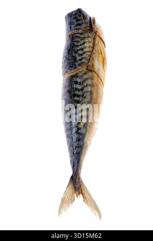 Objekt auf weiß - geräucherte Makrele Stockfoto