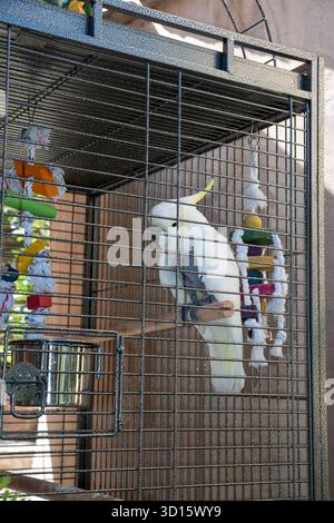 Kloster Agios Panteleimon, Gemeinde Malevizi, Regionaleinheit Heraklion, Kreta, Griechenland Stockfoto