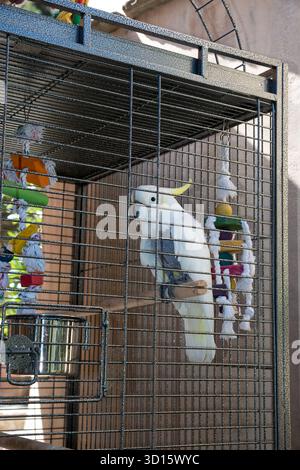 Kloster Agios Panteleimon, Gemeinde Malevizi, Regionaleinheit Heraklion, Kreta, Griechenland Stockfoto