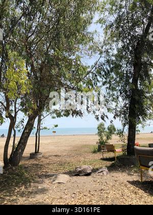 Blick auf den Strand durch grüne Bäume im Gisum Forest Park an der kaspischen Küste Irans – ruhiger Sand, sanftes Meer, entspannender Picknickbereich. Stockfoto