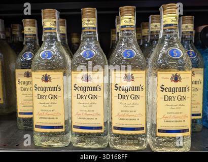 Seagrams Gin-Flaschen in einem Laden Stockfoto