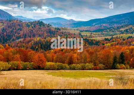 Berglandschaft der ukrainischen Landschaft am Herbstmorgen. Wunderschöner Blick auf die karpaten mit Licht auf bewaldeten Hängen in farbenfroher Foli Stockfoto