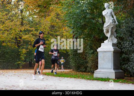 Marathonteilnehmer, die durch den malerischen Herbstpark laufen, zeigen Energie Ausdauer und Teamarbeit bei einem Outdoor-Sportereignis mit gesundem Lebensstil. Stockfoto