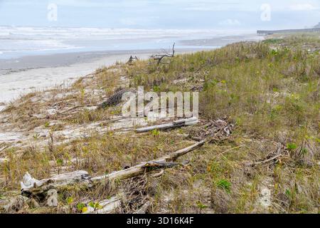 Strand und Dünen in Iguape, Brasilien Stockfoto
