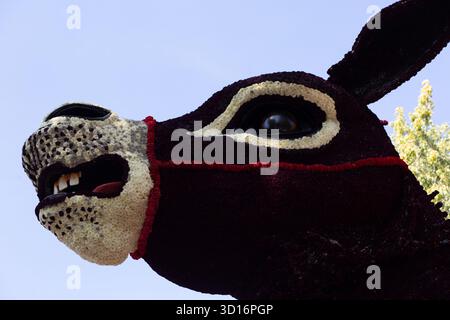 Niedriger Blick auf eine riesige blumenbedeckte Floatfigur Bloemencorso Zundert 2025, die aus dichten roten und cremefarbenen Dahlienblütenmosaiken im Freien gebaut wurde. Stockfoto