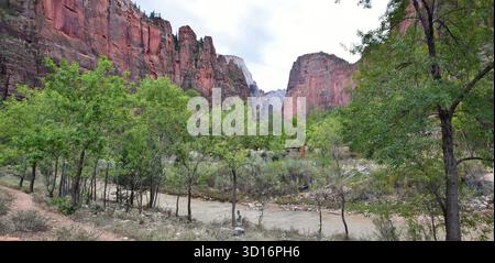 Der Virgin River, der durch den roten Felsschlucht des Zion National Park, Utah, fließt. Stockfoto
