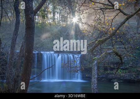 Ein Wasserfall in einer herbstlichen Schlucht, mit Morgensonne, die die Herbstfarbe durch das bewaldete Tal über sich zieht, Bäume im Vordergrund Stockfoto