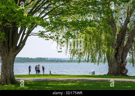 Syracuse, NY USA - 18. Mai 2019: Silhouette der Familie unter weinenden Weiden im Onondaga Lake State Park. Stockfoto