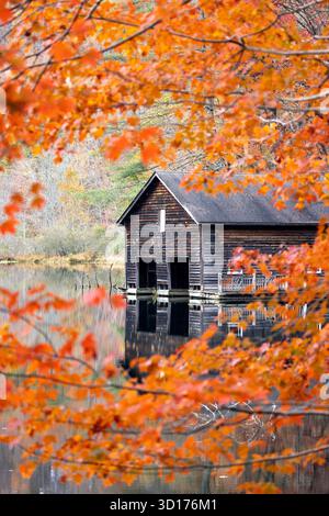 Holzboathouse im Herbst - Lake Julia, DuPont State Recreational Forest - Cedar Mountain, North Carolina, USA Stockfoto