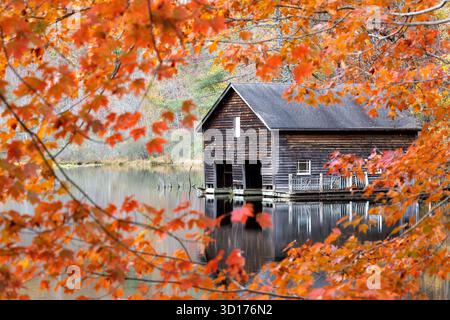 Holzboathouse im Herbst - Lake Julia, DuPont State Recreational Forest - Cedar Mountain, North Carolina, USA Stockfoto