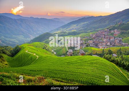 Longji-Reisterrassen auf dem Yaoshan-Berg in Guangxi, China, Sonnenaufgangslicht Stockfoto