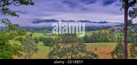 Blick auf das Bellinger River Valley über Ackerland am frühen Morgen mit Nebel und niedrigen Wolken entlang der Bergkette, Dorrigo New South Wales, Australien Stockfoto