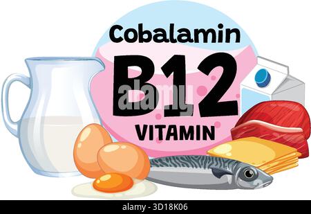 Vektor-Illustration von Vitamin B12-reichen Lebensmitteln einschließlich Milch, Eier, Fisch, Käse und Fleisch Stock Vektor