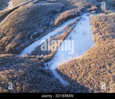 Fantastischer Sonnenaufgang in den Bergen. Frisch verschneite Hänge und Tannen in den Karpaten, Slowakei, Europa. Skitour auf unberührtem, schneebedecktem hil Stockfoto