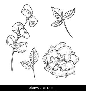Rosenblume und Eukalyptuszweig Set schwarz-weiße Vektor-Illustration. Handgezeichnete Gardenie und Laublinie Kunst. Florale Konturzeichnung für die Hochzeit Stock Vektor