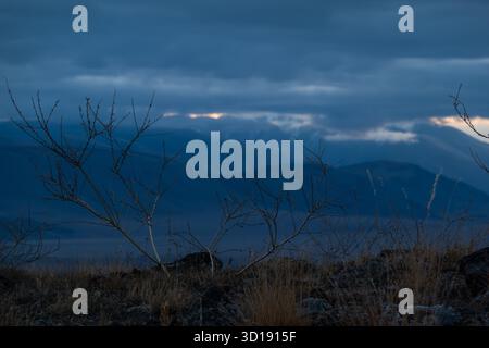 Karge blaue Landschaft mit blattlosen Zweigen im Vordergrund, dunklen Hügeln, fernen Bergen, gedämpftem Himmel mit einem Hauch von Licht am Horizont. Stimmung ruhig einsam ruhig Stockfoto