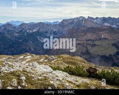 Berglandschaften rund um das Nebelhorn, Allgäuer Alpen, Deutschland Stockfoto
