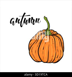 Dekorative orangefarbene Kürbisse. Handgezeichnete Skizze Vektor Herbst Illustration. Thanksgiving Day, halloween Feiertage Hintergrund. Ernte Stock Vektor