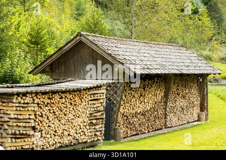 Kleiner ländlicher Holzschuppen im Wald, rustikale Landschaft Stockfoto