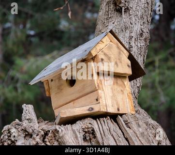 Natürliches Holzhaus für Vögel. Selektiver Fokus auf rustikales Vogelnest aus Holz. Stockfoto
