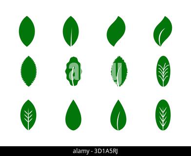 Verschiedene grüne Blätter Vektorset mit Natur- und Öko-Elementen, ideal für Logo-Design, Bio-Branding-Umwelt-Projekte und Natur-Themen Stock Vektor