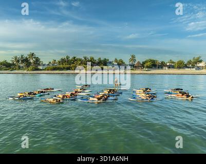 Aus der Vogelperspektive sehen Sie Personen, die Yoga auf Paddleboards im ruhigen türkisfarbenen Meer üben, vor dem Hintergrund einer üppig grünen Küste, Progreso, Yuc Stockfoto