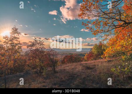 Ein wunderschöner Herbsttag mit einer hellen Sonne, die durch die Bäume scheint. Der Himmel ist voller Wolken, die eine ruhige und friedliche Atmosphäre schaffen. Der Strukturbaum Stockfoto