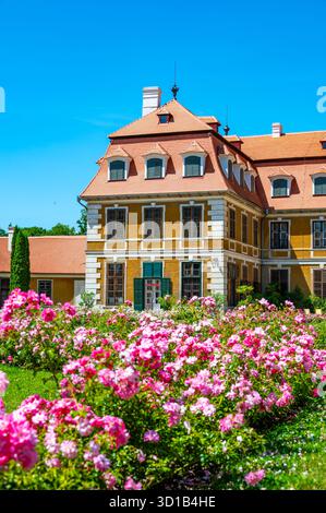 Panoramablick auf das Schloss Rajec Jestrebi an einem sonnigen Sommertag mit blauem Himmel, blühenden rosa Rosen und einem Brunnen vor dem historischen Gebäude. Stockfoto