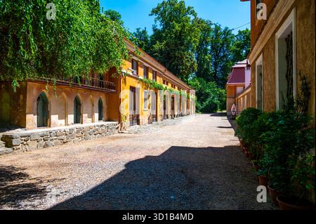 Panoramablick auf das Schloss Rajec Jestrebi an einem sonnigen Sommertag mit blauem Himmel, blühenden rosa Rosen und einem Brunnen vor dem historischen Gebäude. Stockfoto