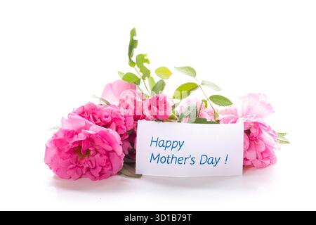 Dankeskarte zwischen rosa Blumen auf weißem Hintergrund. Stockfoto