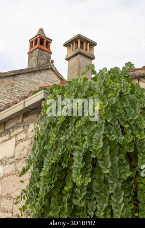 Eine ruhige, mittelalterliche Dorfstraße aus Stein mit Kopfsteinpflasterpfad, Efeu-bedeckten Wänden, einer schweren Holztür und Fensterläden. Heller Himmel en Stockfoto