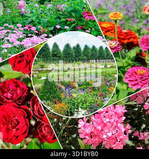 Eine lebendige Fotocollage mit vier Quadranten aus Nahaufnahme, farbenfrohen Gartenblumen, die ein zentrales kreisförmiges Bild eines gepflegten Parks umgeben Stockfoto