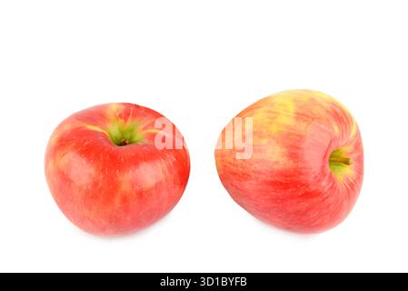Zwei leuchtende, reife rote und gelbe Äpfel werden nebeneinander vor reinweißem Hintergrund fotografiert. Stockfoto