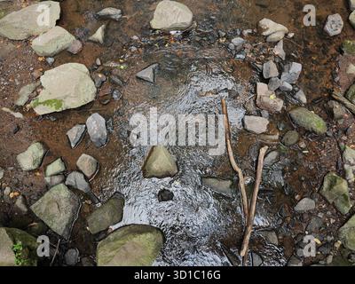 Klarer Bach, der über Felsen fließt, mit Reflexen in einer ruhigen, natürlichen Umgebung. Stockfoto