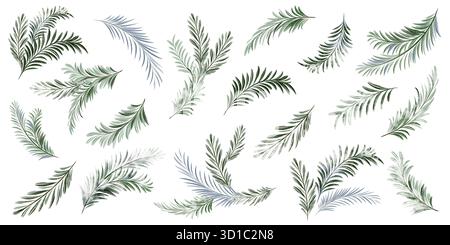 Aquarelltanne und Tannenzweige isoliert auf weißem Hintergrund. Botanisches Clipart für Karten, Etiketten und Design. Immergrüne Nadelelemente für den Winter Stockfoto