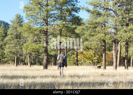 Frauen, die im Herbstwald wandern Stockfoto