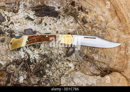 Klappmesser mit Geweihgriff auf einem Holzschwamm Stockfoto