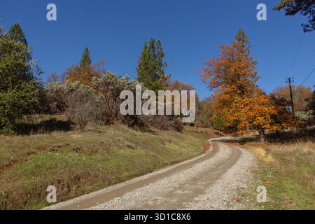Geschwungene, ländliche Feldstraße führt durch bewaldete Hügel mit Herbstbäumen, grünem Gras und blauem Himmel und schafft eine friedliche natürliche Landschaft Stockfoto