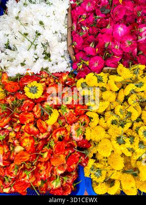 Blick von oben auf farbenfrohe Auswahl an frisch geschnittenen Blumen in verschiedenen leuchtenden Farben, einschließlich Rot, Gelb, weiß und Rosa, die in Marktkörben angeordnet sind Stockfoto
